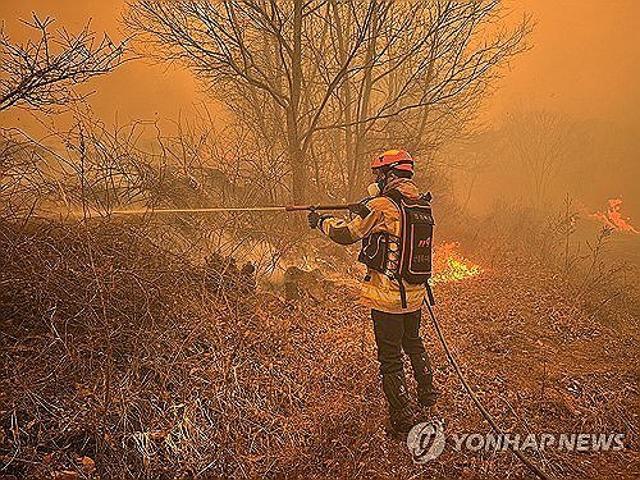 이철우 경북지사 "주민 안전 최우선 행정력 가동"…총력행정체계 전환