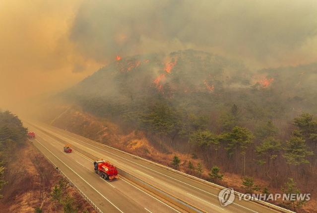 의성 산불 확산에…서산영덕선 이어 중앙선도 일부 구간 통제