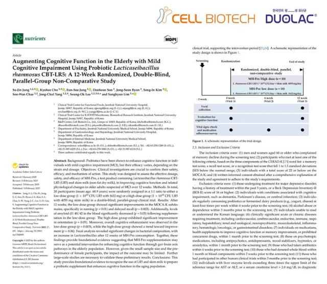 쎌바이오텍, 유산균으로 고령층 경도인지장애 개선 가능성