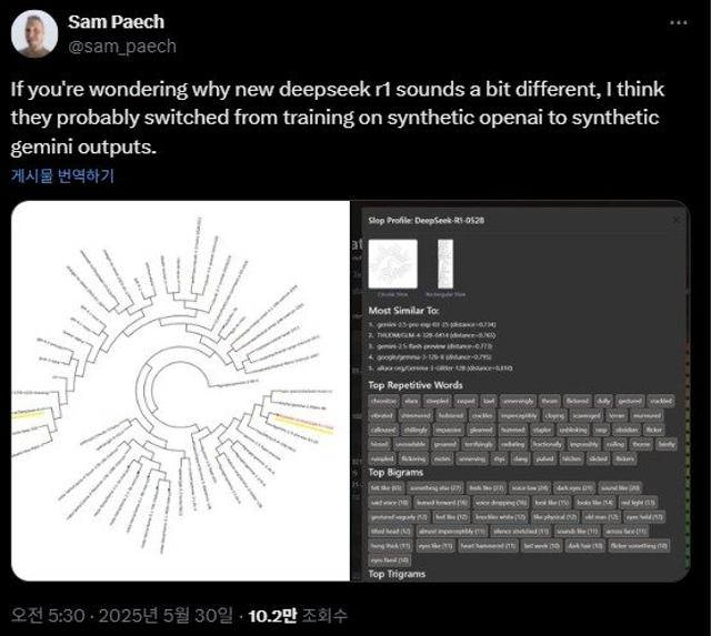"'딥시크'에서 '제미나이'의 말투가?", 무단활용 의혹
