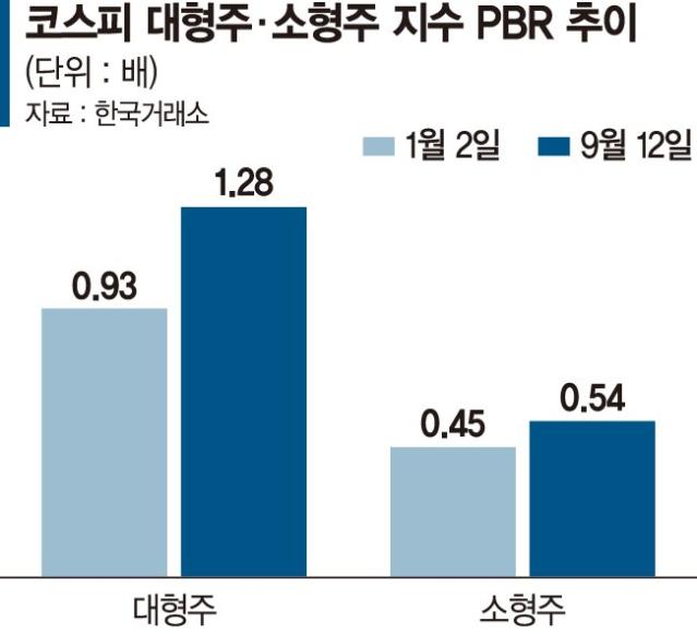 코스피 최고 찍어도 불장 못누린 소형株 [코스피 상승세 이어질까]