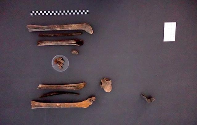 18세에 참전 '故 구자길 일병’ 75년만에 남동생 품으로