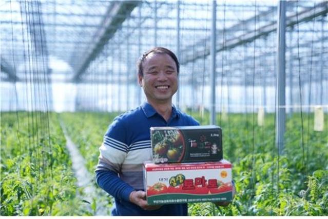 '우리토마토농장' 김정용 대표, 대한민국 최고농업기술명인 선정