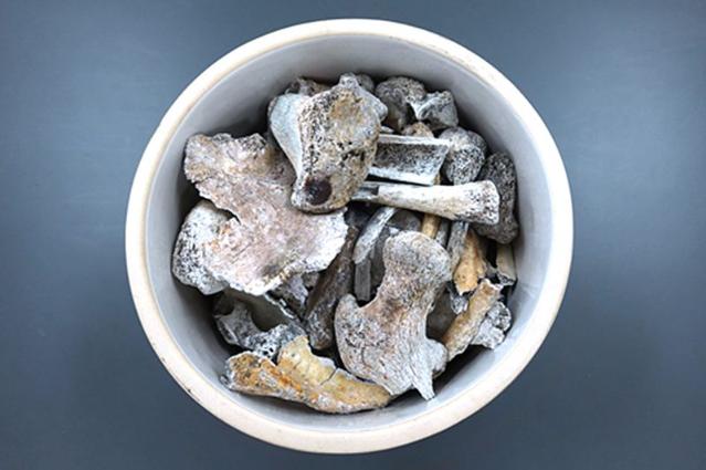 6·25전쟁서 19세로 산화 '고(故) 정용환 일병' 75년 만에 친조카 품에