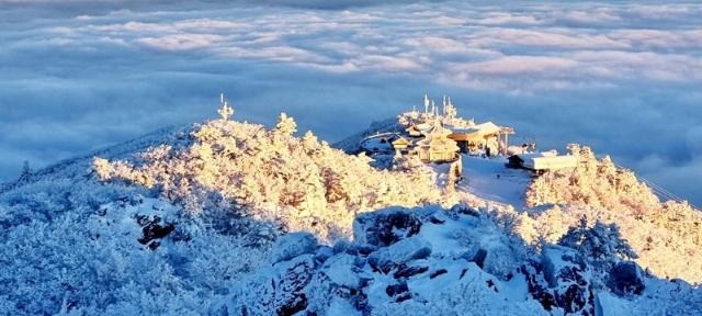 무주덕유산리조트  '해맞이 곤도라' 예매 시작