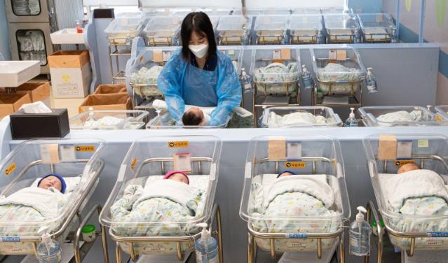 2025년 10월에 태어난 아기 2만1958명… 1년 전보다 532명 많아